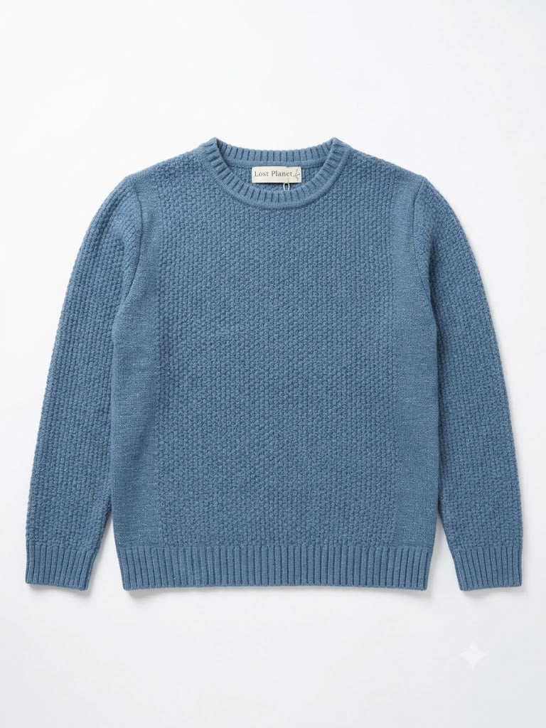 Bewerkte trui blauw