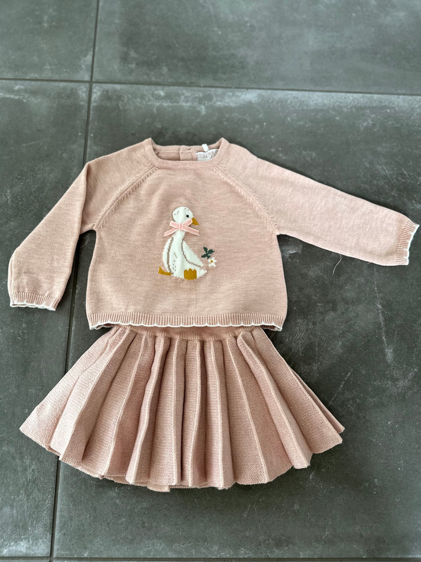 2 delig roze set rok en trui met eendje