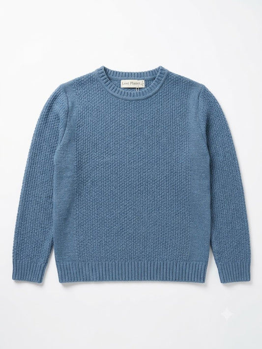 Bewerkte trui blauw